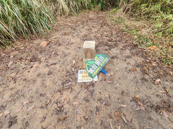 20250105鵝公髻山雲霧步道2726333