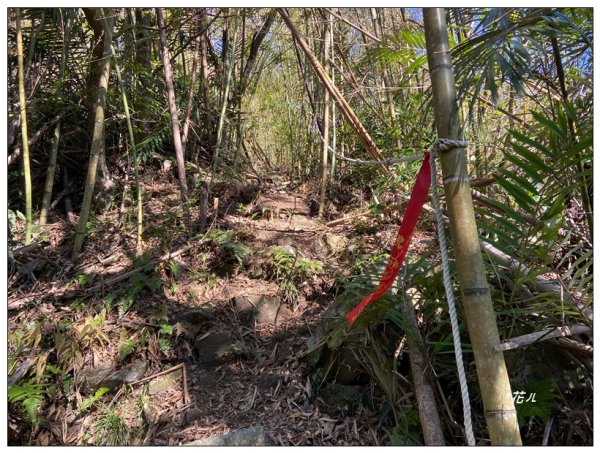 那羅山、煤源山、凌空廊道連走2684221