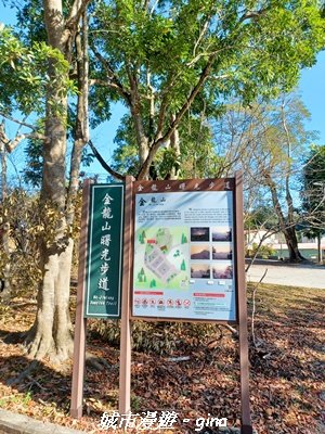 【南投魚池】郊山好視野。 金龍山(槌仔寮山)步道2976293