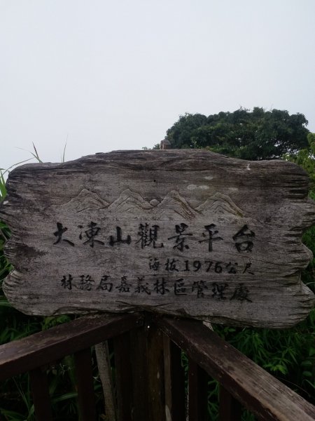 大凍山/霹靂山/雲之道/櫻之道696952