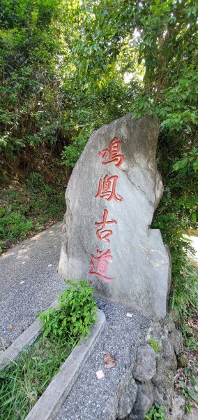 2021-08-14鳴鳳古道封面