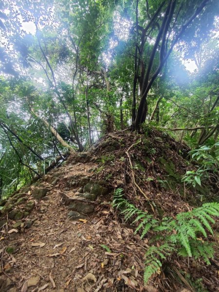 微笑山線之望月亭段2849018