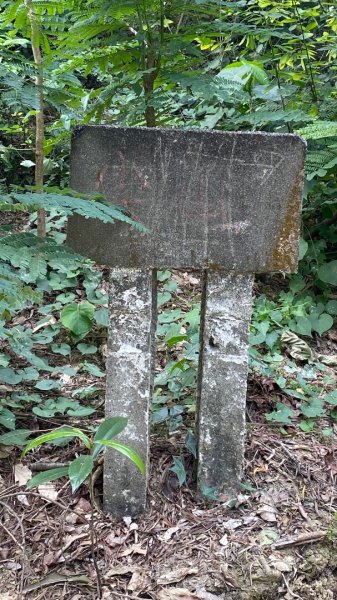 尚書林山步道(鳳凰山)2730908