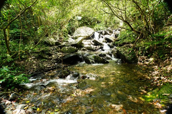 新北 烏來 波露南山3035991