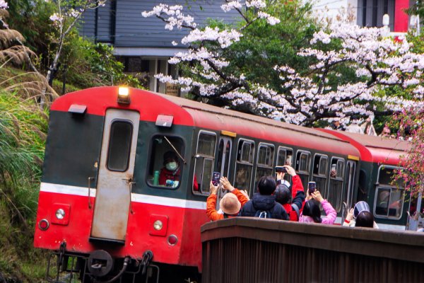 2026-03-28 阿里山3027221