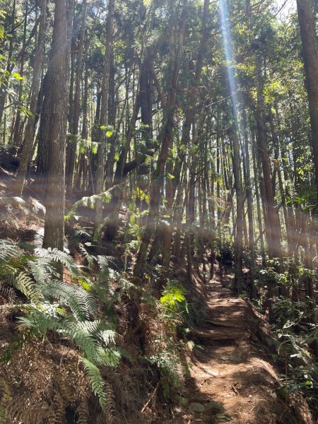 谷關七雄 《 馬崙山 》2025 09/062879767