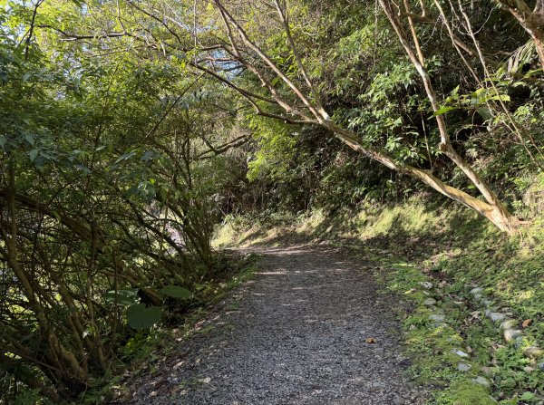 [淡蘭古道] 2026_0315 南路第二段_外按古道3016425