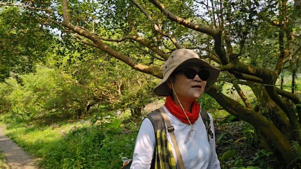 鳳山縱走五連峰3026913