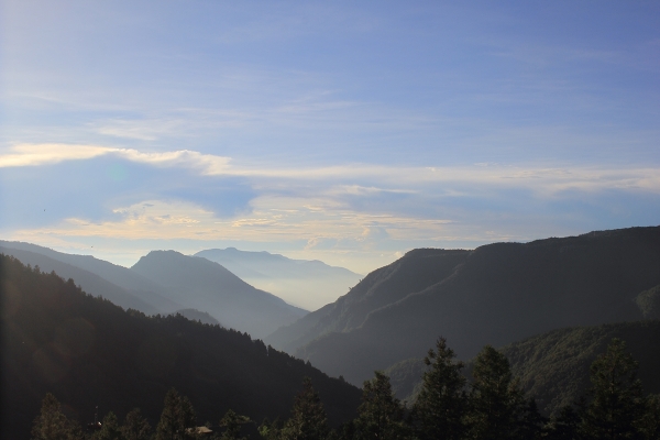 太平山檜木原始林→鐵杉林步道P型261475