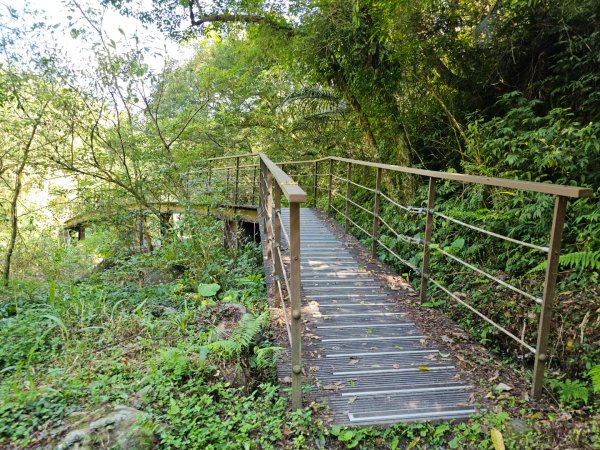 松羅步道 - (宜蘭)臺灣百大必訪步道2556461