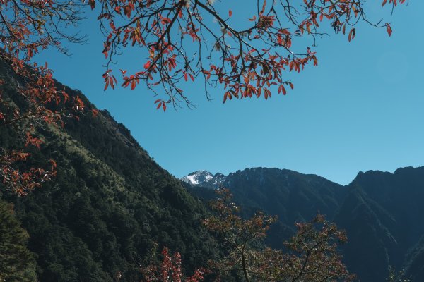 【玉山】主峰北峰二日，臺灣第一高峰雪季最美角度1881190