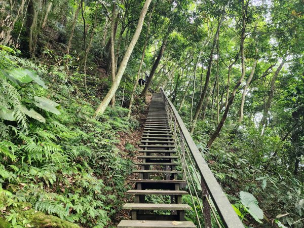 五指山橫向登山步道×猴洞步道一線天3060553
