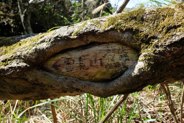 苗栗泰安 | 雪見‧初探北坑溪古道2700064