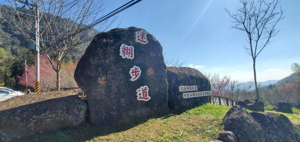 2025-01-30迷糊步道2704430