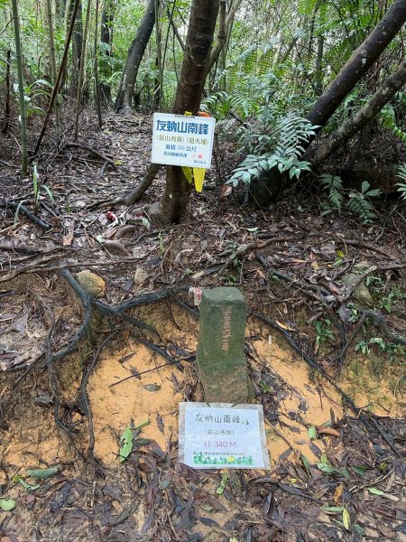 新北 汐止 柯子林橋-柯子林天然泳池-友蚋山南峰-友蚋山-新山-夢湖-柯子林橋2988378