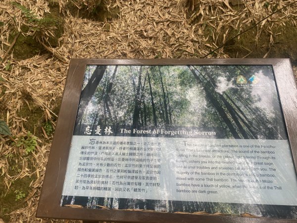 1120329奮瑞古道2643558