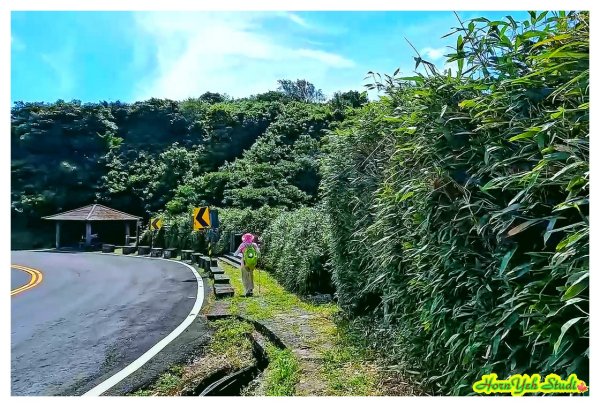 北環段七星山人車分道 七星瀑布 夢幻湖 下冷水坑泡腳趣2864584