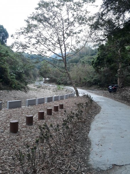 雲林林內龍過脈森林步道20190323550601
