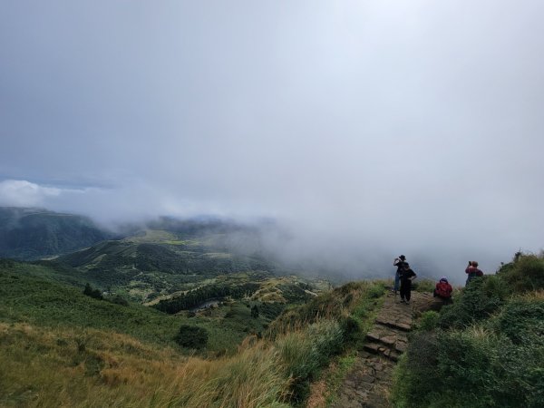 苗圃-七星山主,東峰-大屯山主峰-二子坪-202410262859673