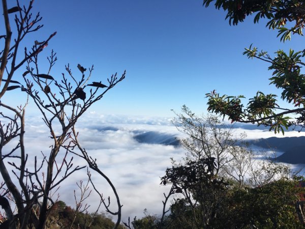 加里山（雲瀑2664719