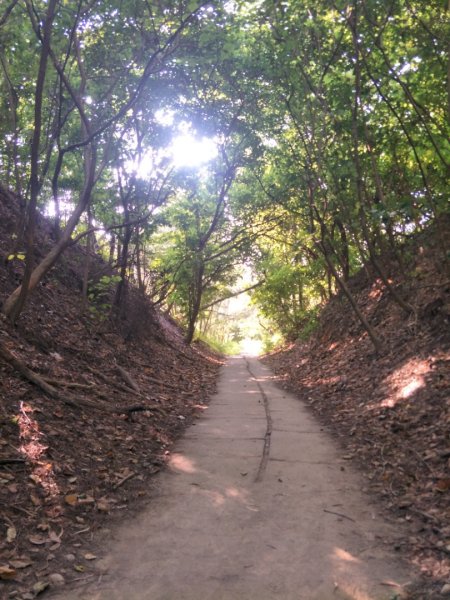 鳳凰山步道1518218