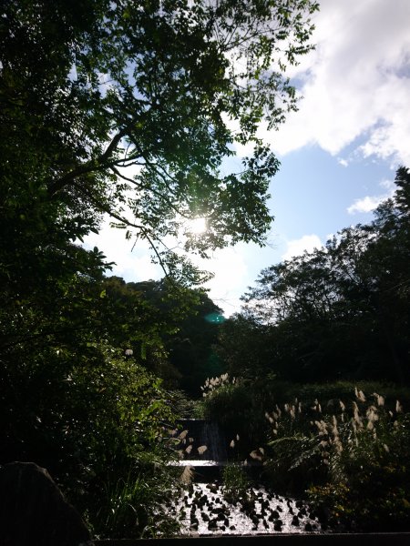 泰安瀑布-姜子寮山步道821744