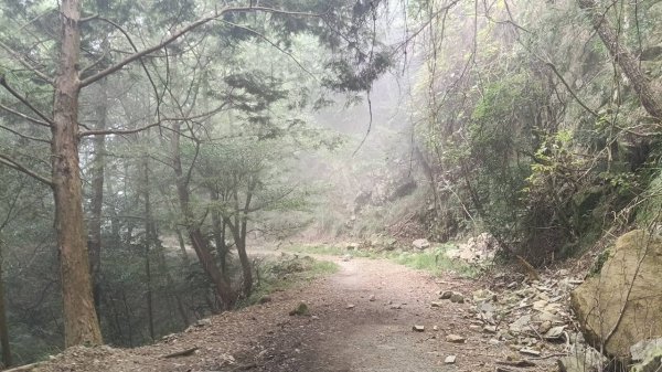20251010 大雪山國家森林遊樂區 - 船型山林道 登 烏石坑山2911121