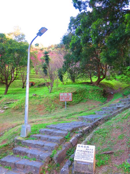 走祈福步道，點一盞心燈，尋找金龍✨2435399