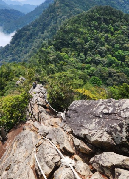 【中級山縱走】最美中級山，鳶嘴西稜縱走（鳶嘴山，醜崠山，長壽山）2741385