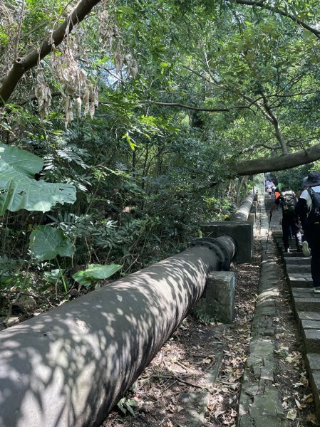 陽明山六瀑連走2877708