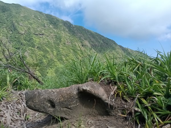 瑞芳區驚險驚嚇+短暫迷途的半屏大瀑布(瀑布稜)+小錐麓古道2886059