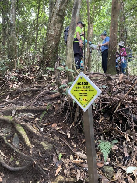 20250713-Ep.09油羅山步道-2025森遊竹縣皮皮獅探險隊2851887