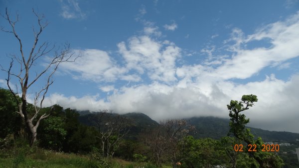 午餐的約會-北投三層崎/貴子坑845558