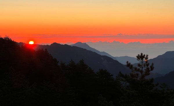 合歡北西峰賞花趣1690832