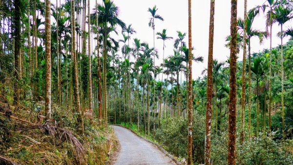 華山小天梯,情人橋2948593