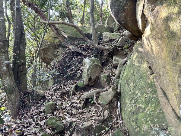 桃園金面山2752279