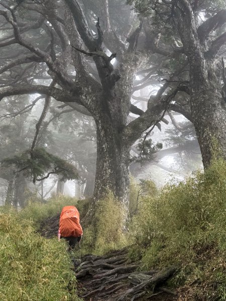 南一段 2025 / 04/02~04/062764398