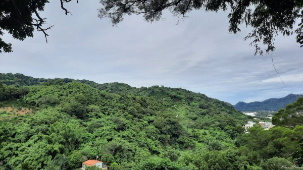 《台中》挑過山水｜石岡挑物古道O繞202309102277375