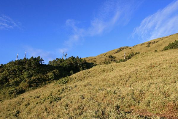 合歡東峰賞花行222750