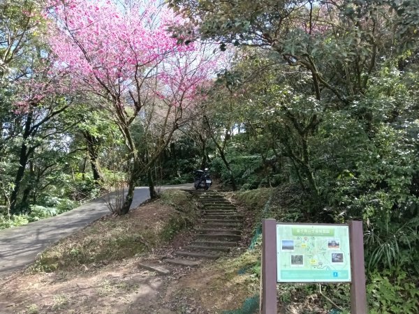 姜子寮山步道2734819