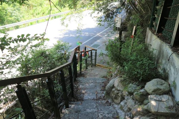 〔花蓮〕布洛灣吊橋+伊達斯步道+環流丘步道。一次走好走滿的布洛灣壯麗景觀步道2266365