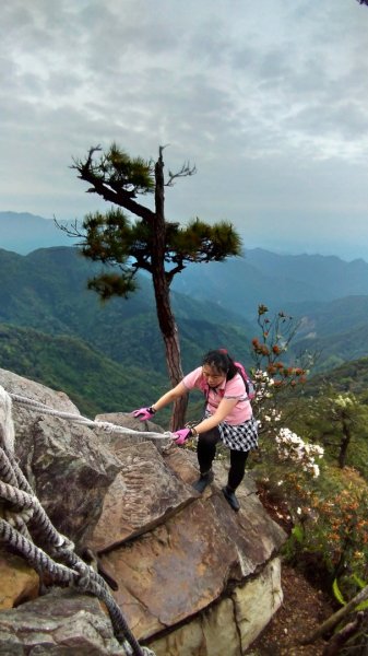 鳶嘴山 2019/05/05580960
