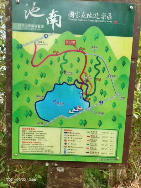 鯉魚山遠眺步道(北路)1465910