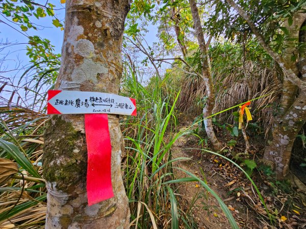 小百岳集起來-三腳南山2184542