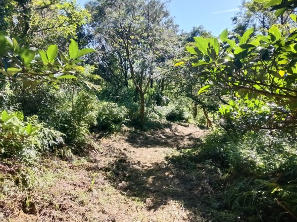 雙溪區豹子廚越嶺保甲路2876992