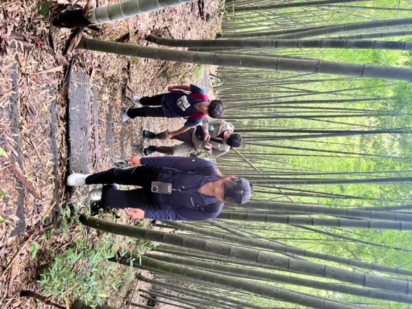 雲林小百岳-石壁山2850058