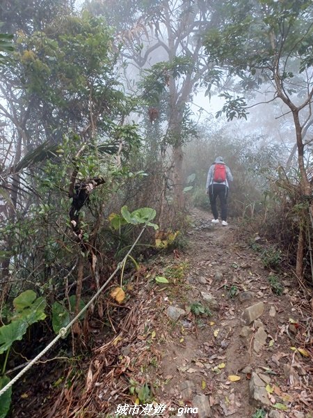 【台南。 南化】迷霧山徑。 小百岳集起來。 編號70小百岳~刣牛湖山登山步道1610477