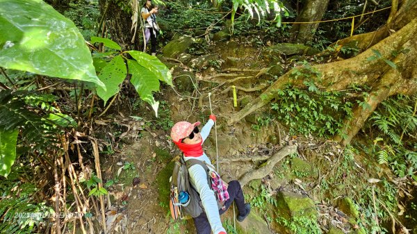 小百岳石牛山＆三坑生態園區走到大平紅橋2327961