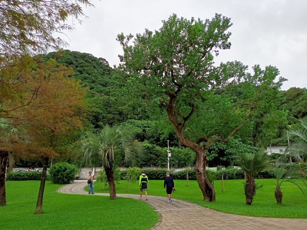大港墘公園、大湖公園 (防災公園) - “非常愛尋寶”【走路趣尋寶，全臺齊步走】1883867