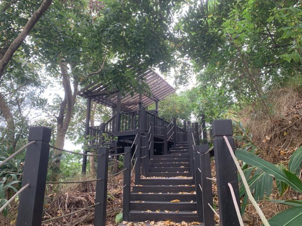 阿罩霧山、中心瓏步道2768915